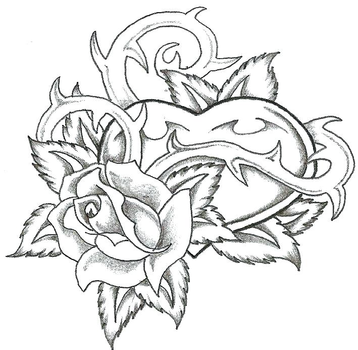 Printable Rose Coloring Pages PDF For Everyone - Coloringfolder.com