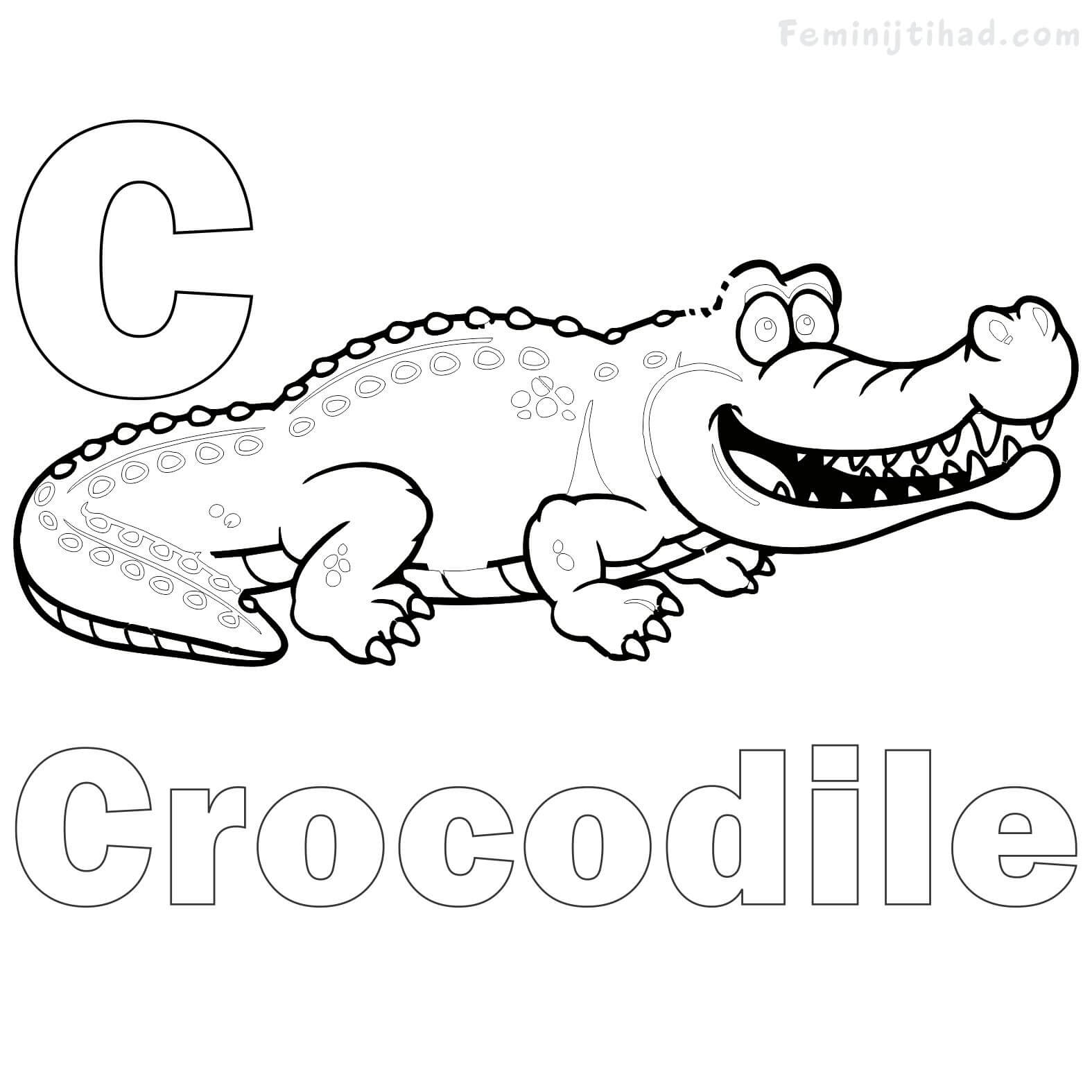 Printable Crocodile Coloring Pages PDf - Coloringfolder.com