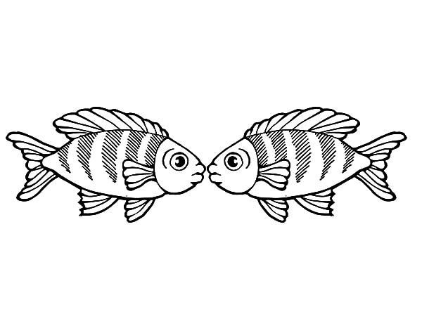 saltwater fish coloring pages