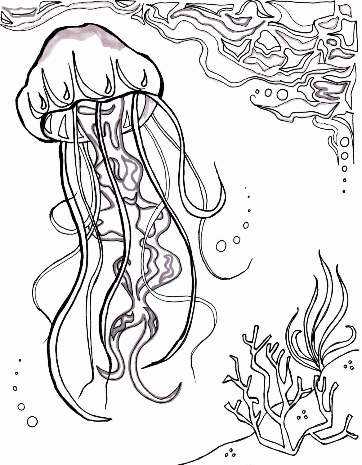 sea creatures coloring pages adult