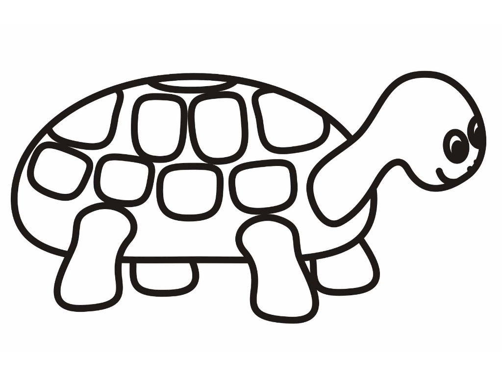 sea turtle coloring pages for kids