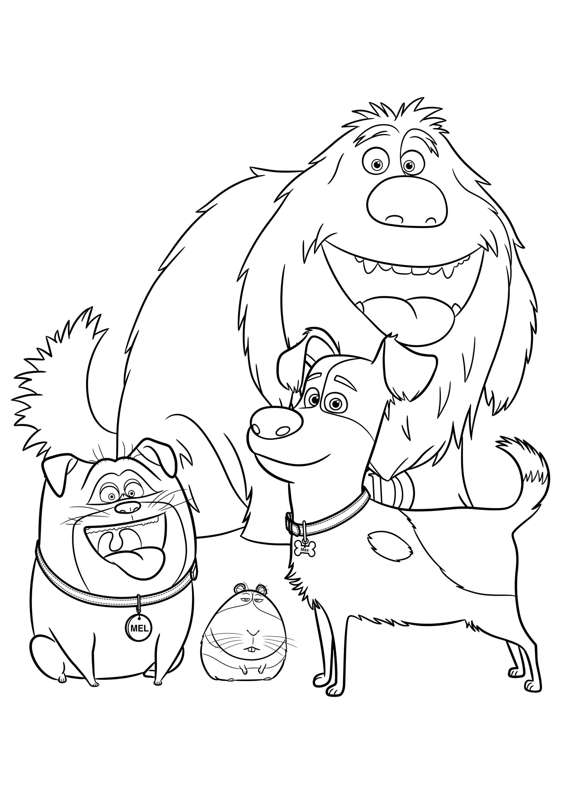 coloring pages of the secret life of pets to print