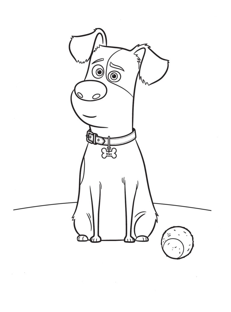 Secret Life Of Pets Coloring Pages Pdf Free - Coloringfolder.com