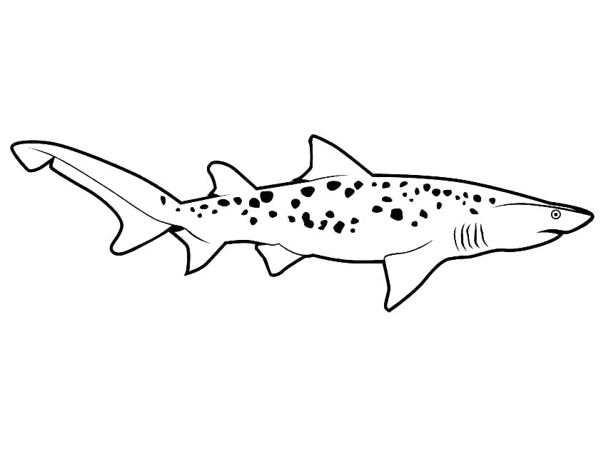 shark printable coloring pages