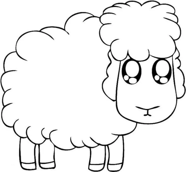 coloring pages of sheep for kids