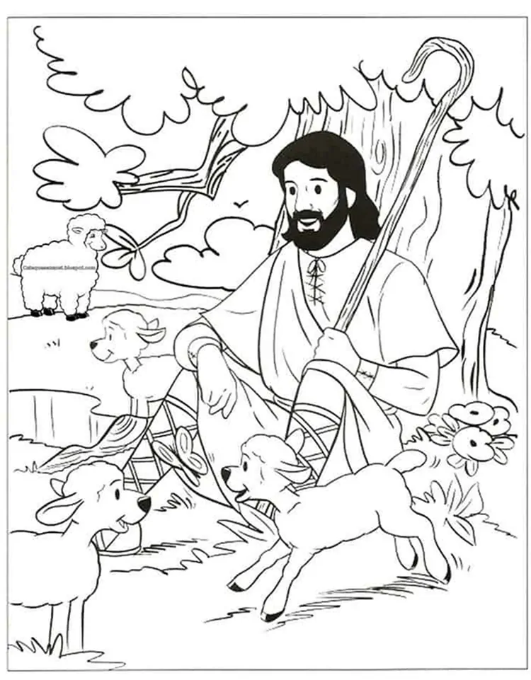 Printable Sheep Coloring Pages PDF - Coloringfolder.com