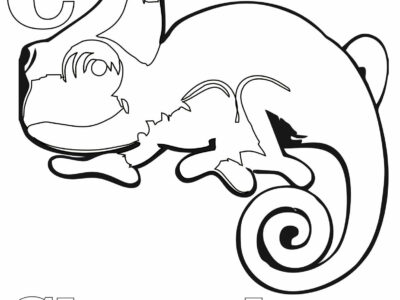 simple chameleon coloring page