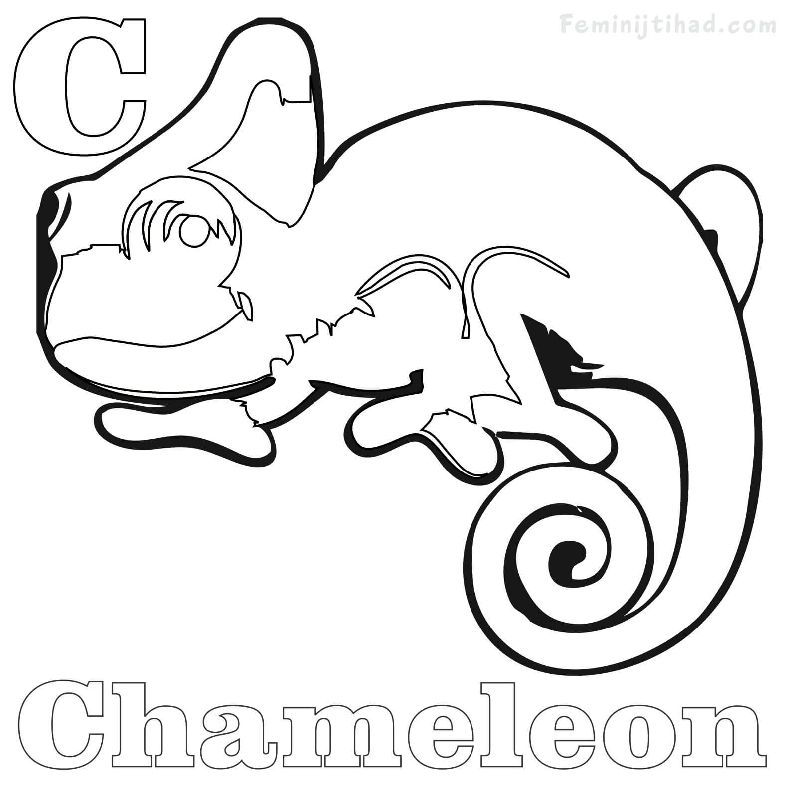 Chameleon Coloring Pages Printable PDF