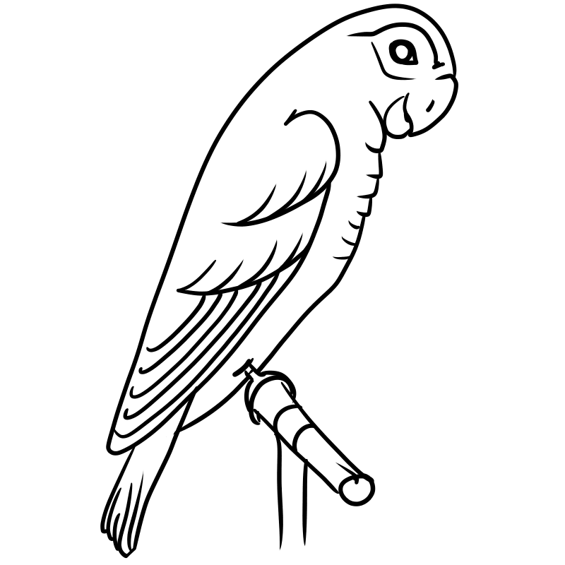 sparrow bird coloring page