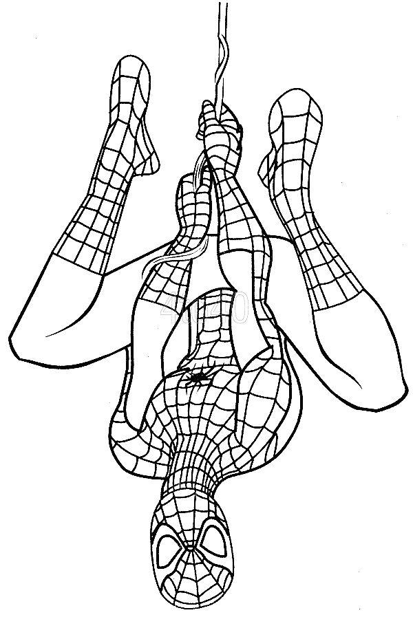 coloring pages spiderman logo template