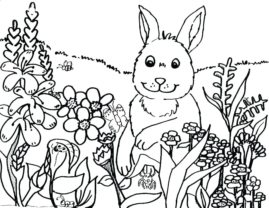spring pictures coloring pages