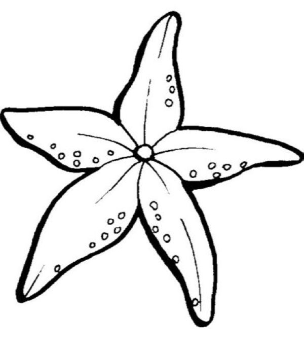 starfish coloring page