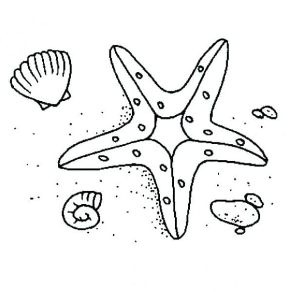 starfish coloring page