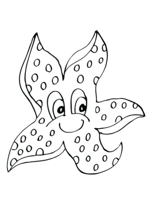 starfish coloring page