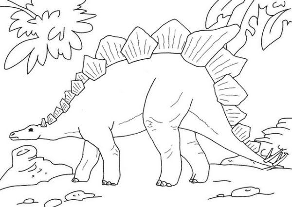 stegosaurus prehistoric dinosaur coloring page
