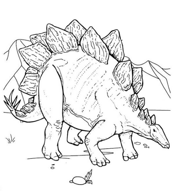 top stegosaurus coloring page for children