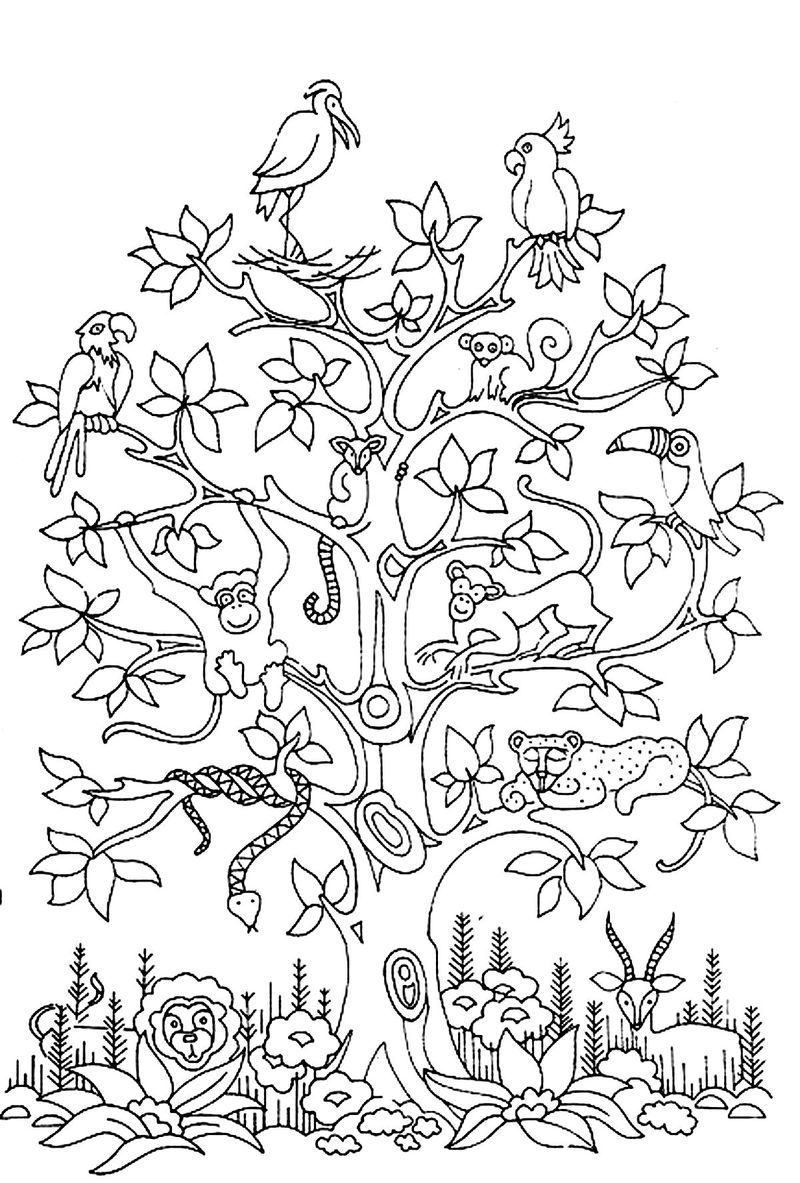 tree coloring pages for kindergarten