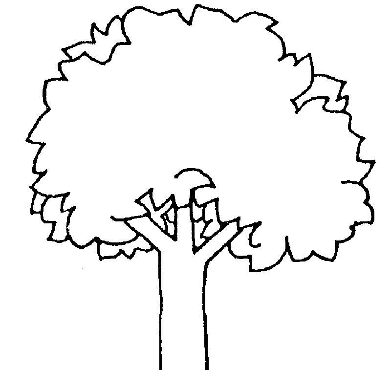 tree coloring pages for preschoolers