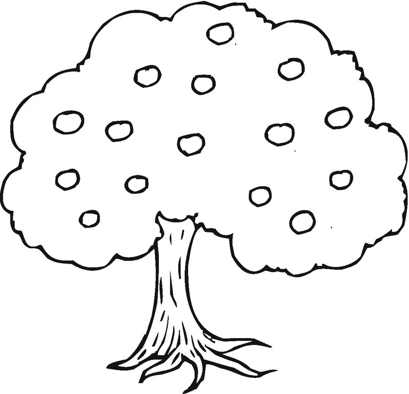 tree coloring pages free printable