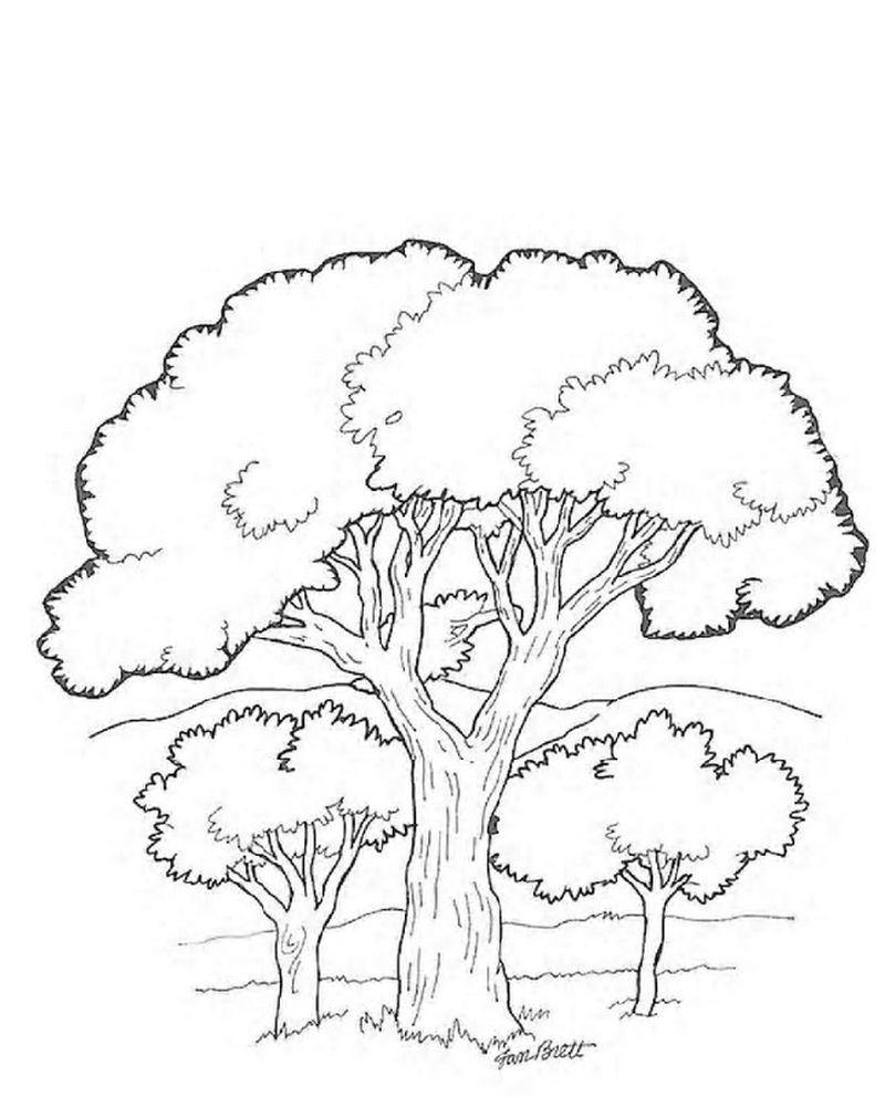 tree coloring pages free