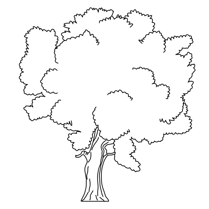 tree coloring pages online