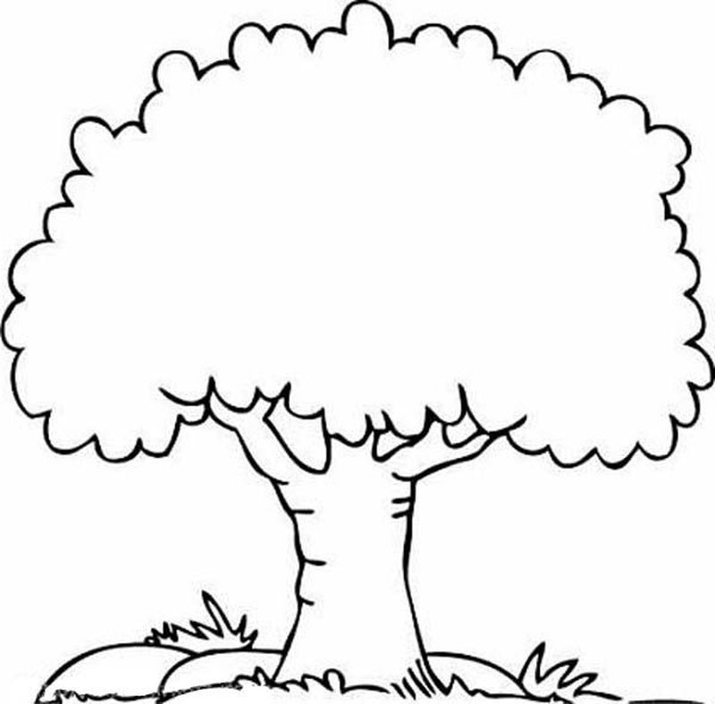 tree coloring pages print