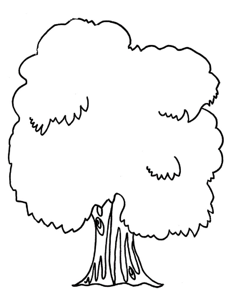 tree coloring pages printable