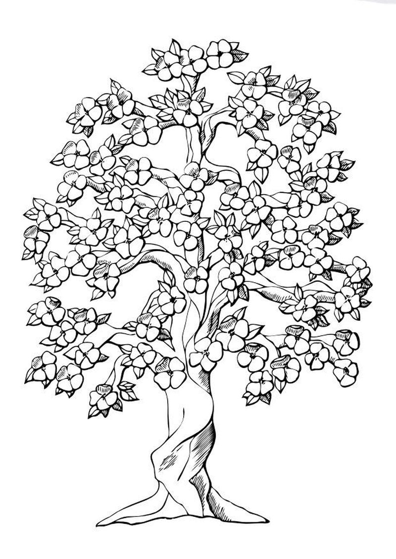 tree coloring pages to print