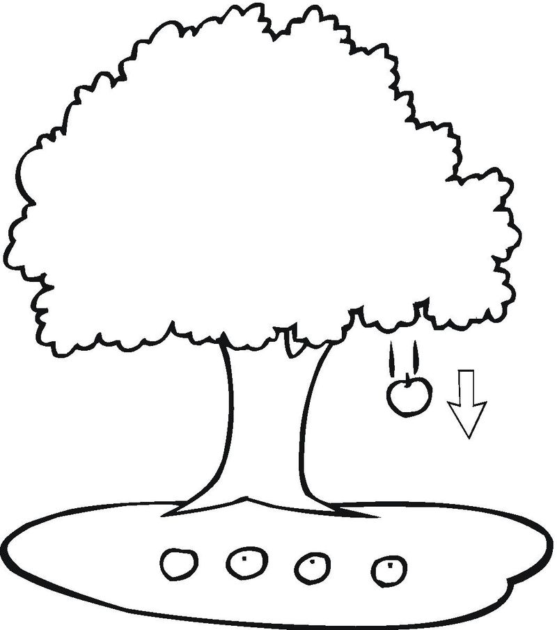 tree coloring pages with roots