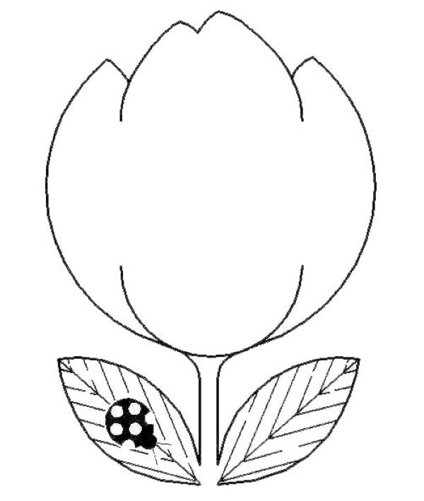 tulip coloring and drawing page