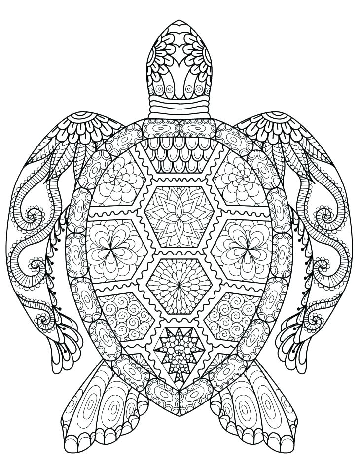 turtle coloring pages for adults