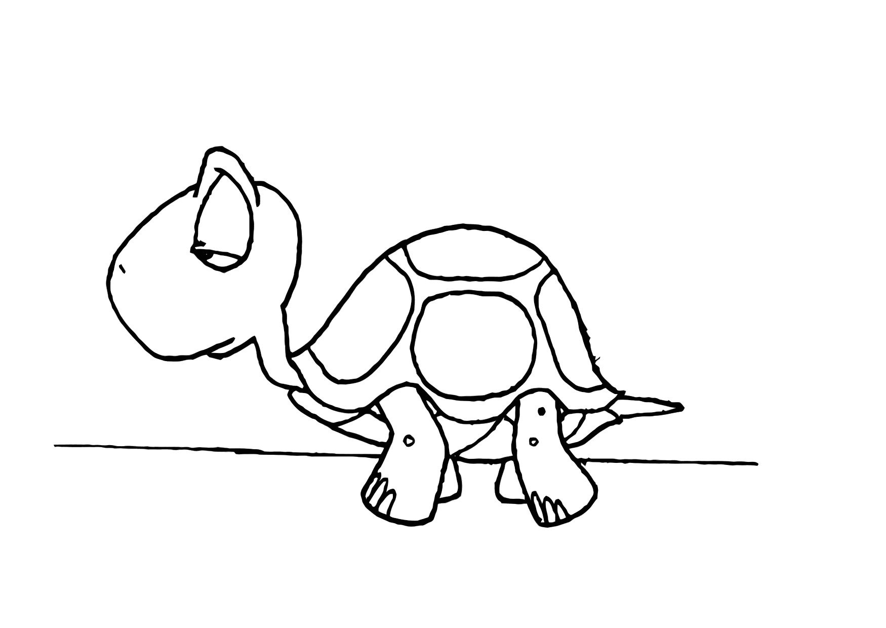 turtle coloring pages for preschoolers
