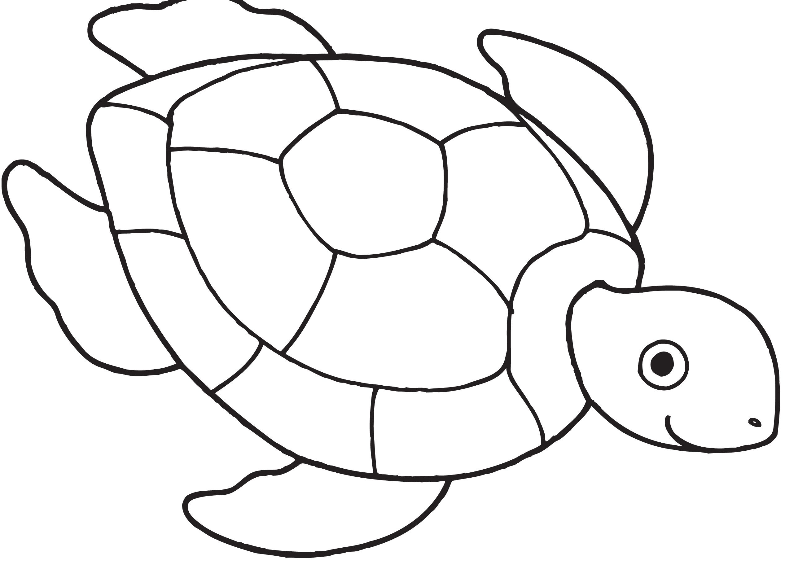 turtle coloring pages kids