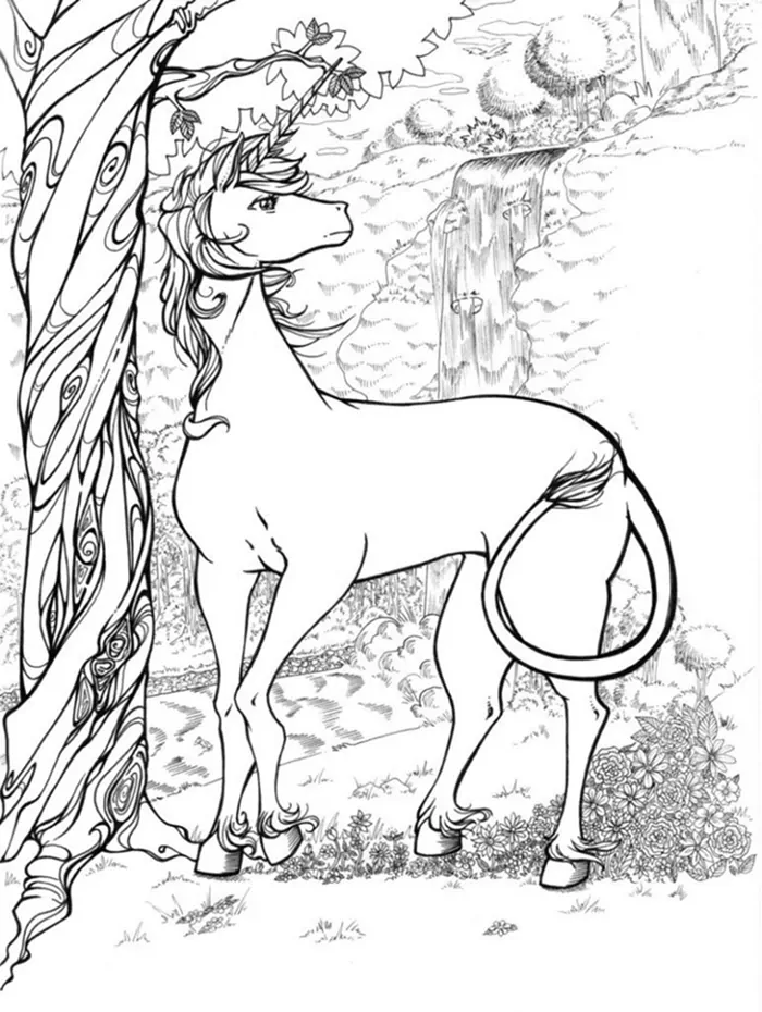 unicorn coloring book