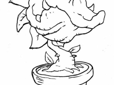 venus fly trap on pot coloring picture