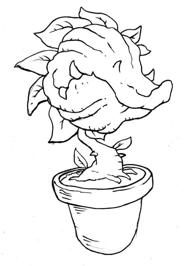 venus fly trap on pot coloring picture
