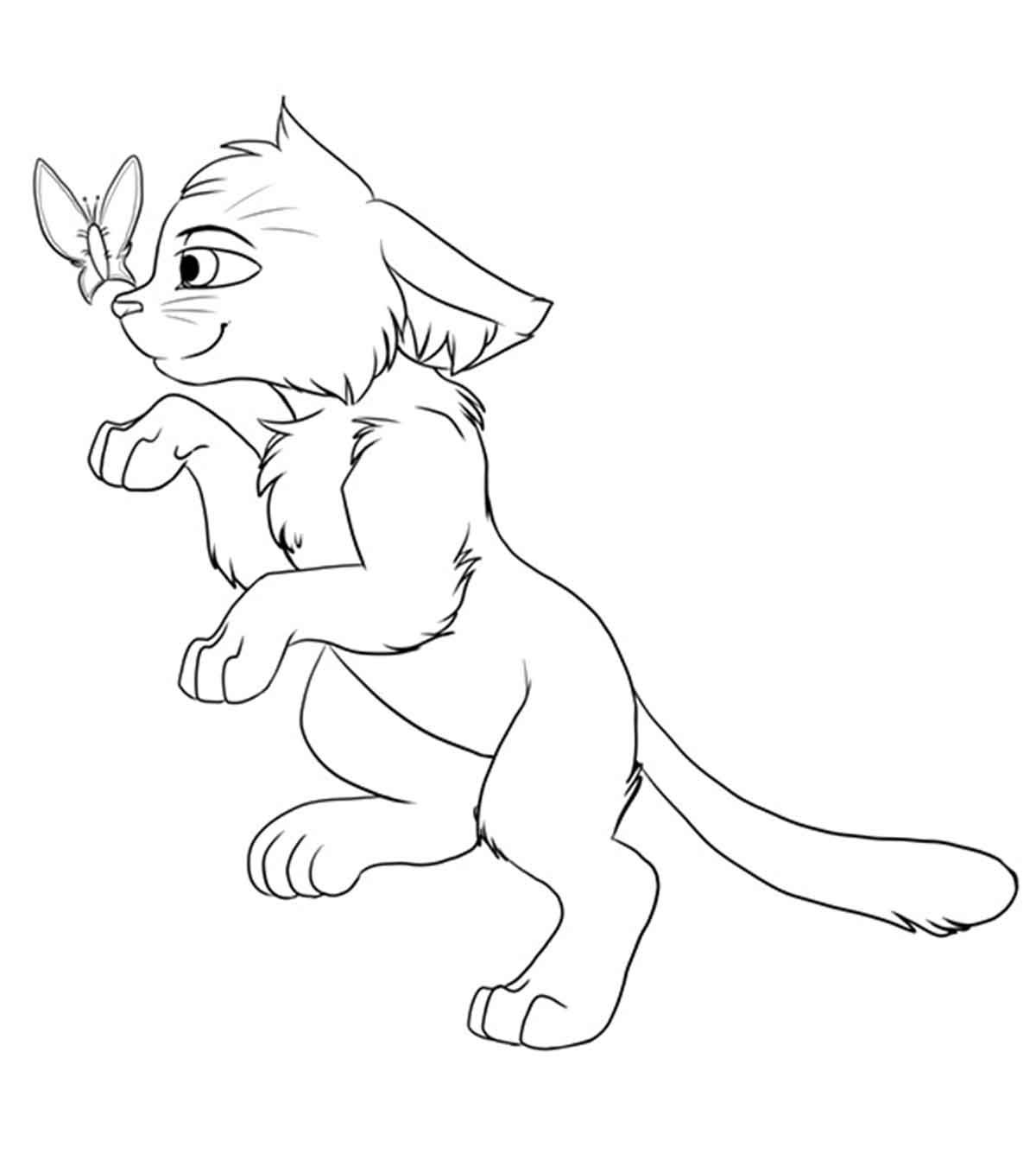 pinkbunnygirl43 warrior cats coloring pages