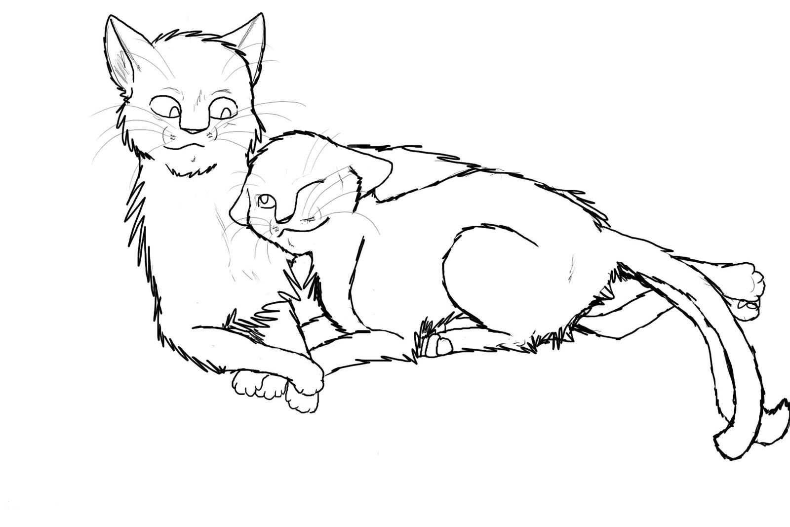 warrior cats printable coloring pages
