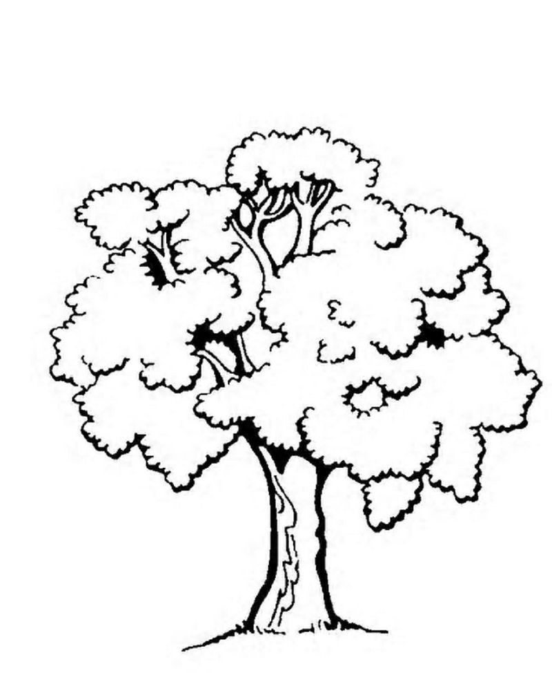 winter tree coloring pages