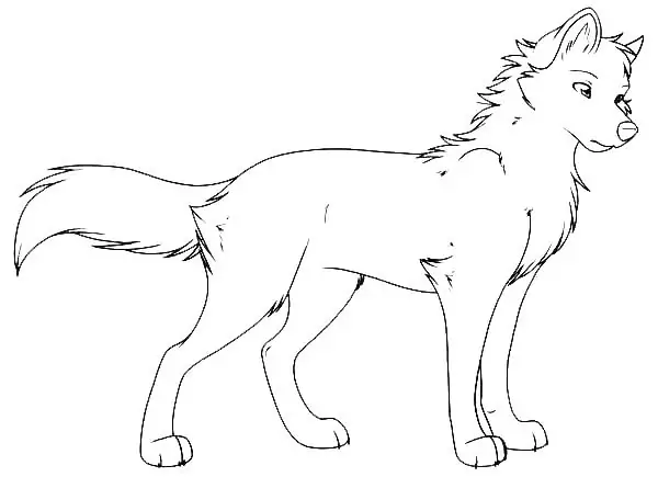wolf coloring pages anime