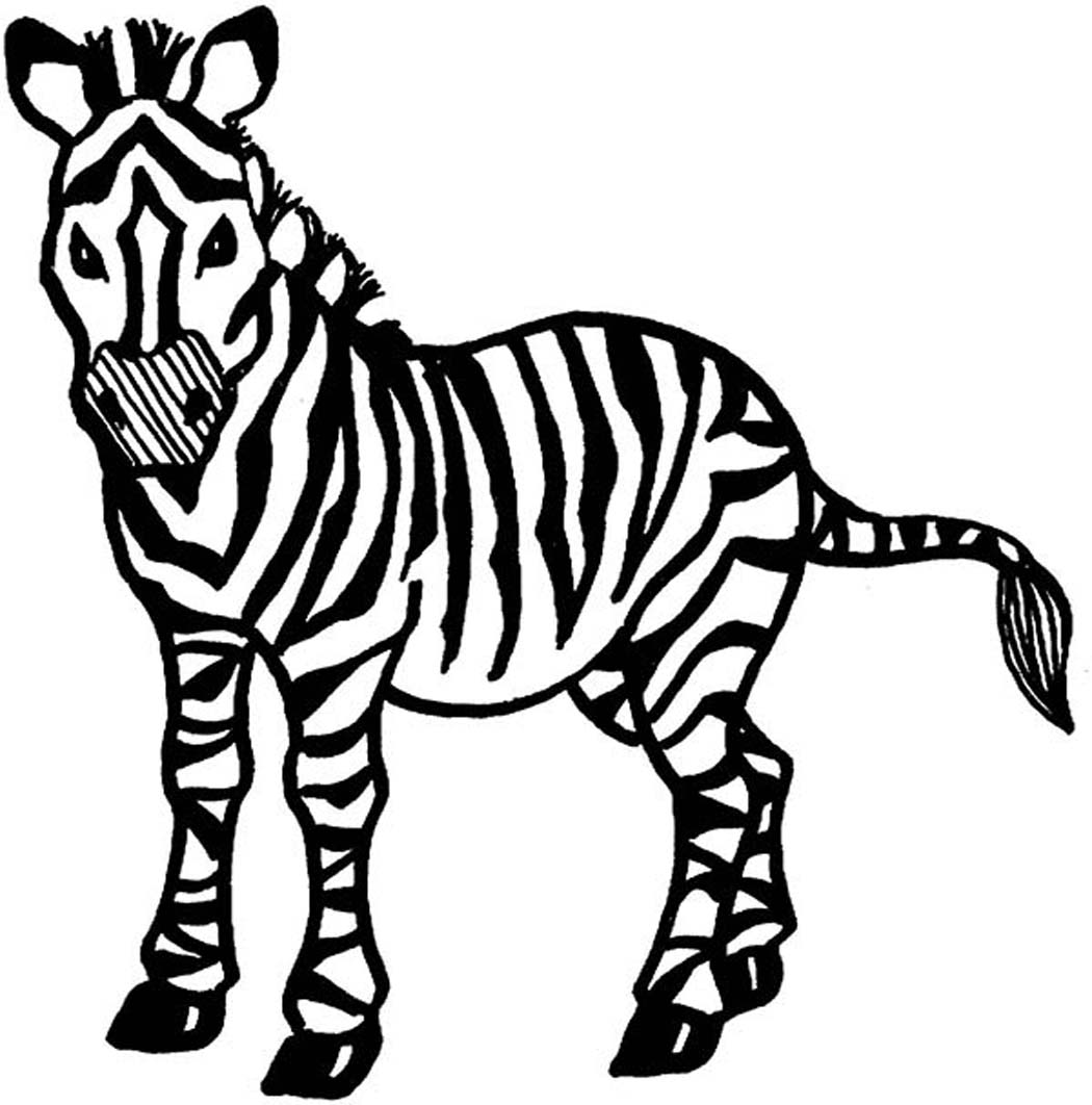 animal coloring pages zebra