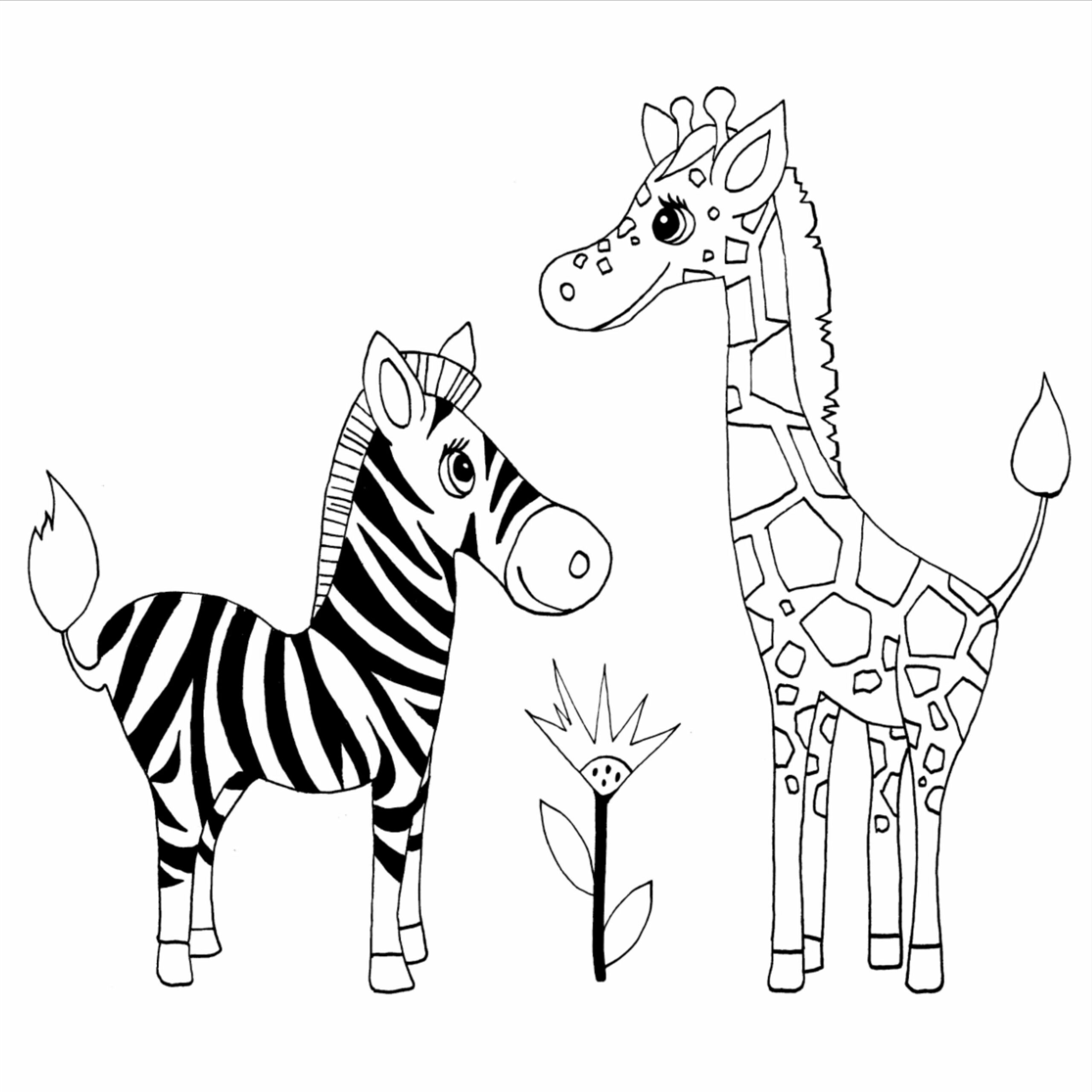 zebra print coloring pages